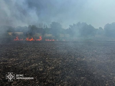 На Черкащині минулої доби сталися сім пожеж сухої рослинності та очерету На Черкащині минулої доби сталися сім пожеж сухої рослинності та очерету