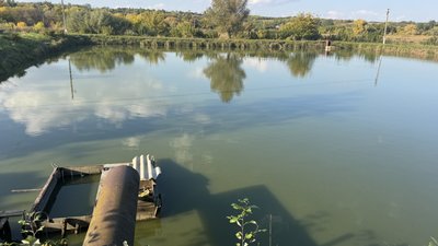 Підприємства, які вирощують прісноводну рибу, можуть отримати компенсацію від держави: які умови й терміни виплат Підприємства, які вирощують прісноводну рибу, можуть отримати компенсацію від держави: які умови й терміни виплат