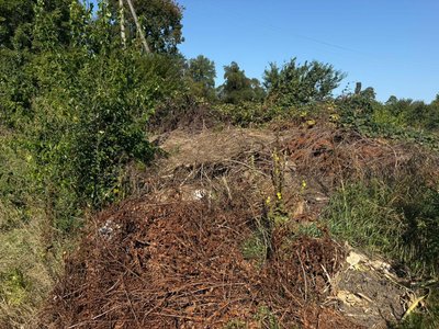У Житомирі та передмісті виявили шість стихійних сміттєзвалищ У Житомирі та передмісті виявили шість стихійних сміттєзвалищ