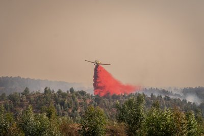 Лісові пожежі в Іспанії: у трьох провінціях евакуювали сотні людей