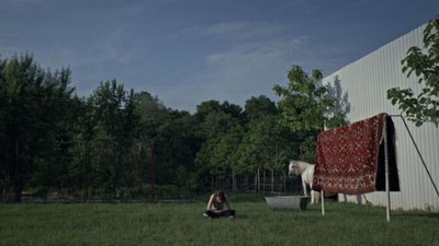 Оголосили переможців 16-й міжнародного кінофестивалю Wiz-Art Оголосили переможців 16-й міжнародного кінофестивалю Wiz-Art