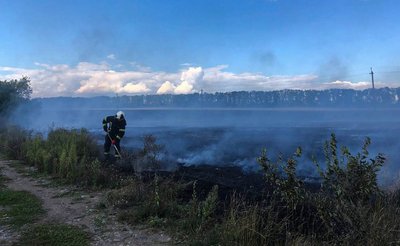 Горіли стерня і сухостій: на Черкащині за добу сталися три пожежі на відкритих територіях