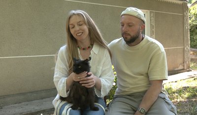 кіт, котики, чорний кіт