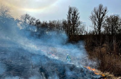 Горить суха трава і очерет: на Черкащині за добу сталася 21 пожежа в екосистемі Горить суха трава і очерет: на Черкащині за добу сталася 21 пожежа в екосистемі