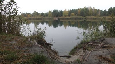 На Житомирщині кобзарі-переселенці з Запоріжжя підтримали екоакцію проти розробки кар'єру доломітів На Житомирщині кобзарі-переселенці з Запоріжжя підтримали екоакцію проти розробки кар'єру доломітів