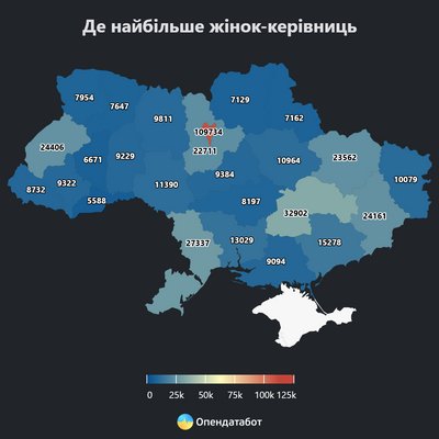 На Кіровоградщині у 2024 році понад вісім тисяч жінок були директорками компаній На Кіровоградщині у 2024 році понад вісім тисяч жінок були директорками компаній