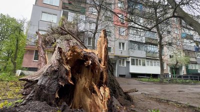 Буревій у Кропивницькому: дерева падають на дороги, тротуари та будинки Буревій у Кропивницькому: дерева падають на дороги, тротуари та будинки