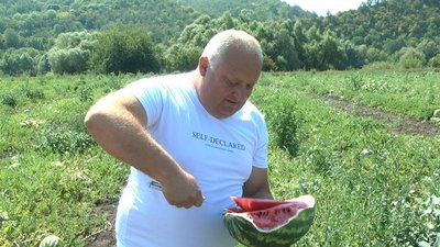 Через спеку доспіли раніше: на Вінниччині збирають врожай баштанних