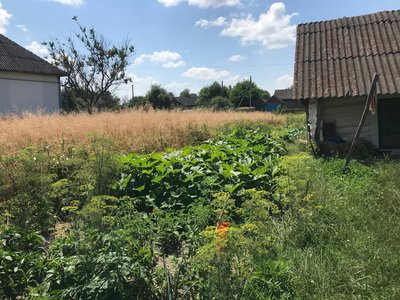 "Я його, моя мила, не можу забути ще й зараз" — 94-річна Надія Шваб про свого чоловіка "Я його, моя мила, не можу забути ще й зараз" — 94-річна Надія Шваб про свого чоловіка