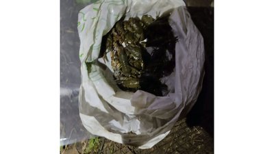 23 раки на понад 76 тисяч гривень наловив під час заборони житель Чернігівщини 23 раки на понад 76 тисяч гривень наловив під час заборони житель Чернігівщини