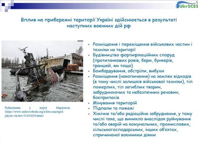 Екоцид у Чорному морі: мазут із Керченської протоки досяг Одещини, постраждали сотні птахів і китоподібних Екоцид у Чорному морі: мазут із Керченської протоки досяг Одещини, постраждали сотні птахів і китоподібних