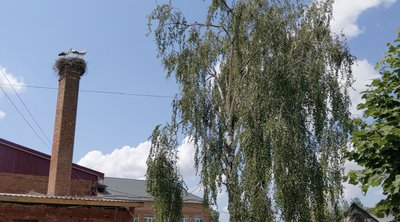 Готовий на 35%: на Черкащині відновлюють пошкоджений снарядом ліцей Готовий на 35%: на Черкащині відновлюють пошкоджений снарядом ліцей