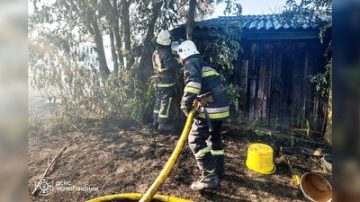 На Чернігівщині через пожежу сухої трави загорілися господарчі будівлі та будинок На Чернігівщині через пожежу сухої трави загорілися господарчі будівлі та будинок