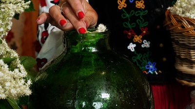 "Домашнє шампанське" з бузини: рецепт літнього напою від господині з Рівненщини "Домашнє шампанське" з бузини: рецепт літнього напою від господині з Рівненщини