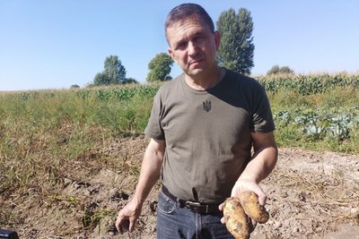 Очікують понад мільйон тонн урожаю: на Волині розпочався збір картоплі