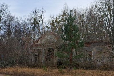 За 10 кілометрів до межі із Білоруссю: як живе село у прикордонній громаді на Житомирщині За 10 кілометрів до межі із Білоруссю: як живе село у прикордонній громаді на Житомирщині