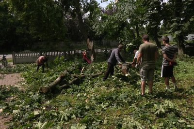 Пошкоджені дахи та зламані дерева: наслідки негоди у Хмельницькій громаді