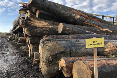 Як на Івано-Франківщині працює інтернет-магазин "ДроваЄ" Як на Івано-Франківщині працює інтернет-магазин "ДроваЄ"