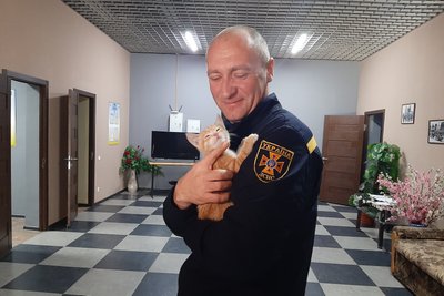Харківські рятувальники витягли з вогню кошеня Харківські рятувальники витягли з вогню кошеня