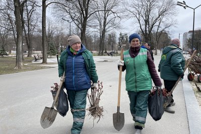 У Харкові висаджують півонії, які подарувала місту жителька Бабаїв У Харкові висаджують півонії, які подарувала місту жителька Бабаїв