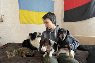 Історія кішки Кисюні Історія кішки Кисюні