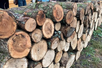 Підготовка до опалювального сезону на Харківщині. Чкалівська громада отримала 240 кубометрів безплатних дров Підготовка до опалювального сезону на Харківщині. Чкалівська громада отримала 240 кубометрів безплатних дров