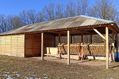 Підгодівля диких тварин з настанням холодів на Житомирщині: чим годують лісових звірів Підгодівля диких тварин з настанням холодів на Житомирщині: чим годують лісових звірів