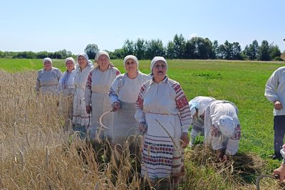 "Так робили наші предки": яких традицій на Волині дотримувались під час жнив