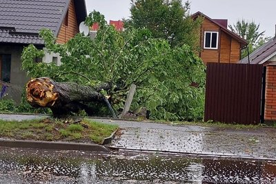У Луцьку ліквідовують наслідки негоди: що і де поламав вітер У Луцьку ліквідовують наслідки негоди: що і де поламав вітер