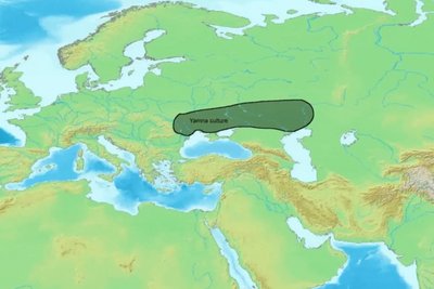 В Україні зародився ген європейців: на чому базується дослідження