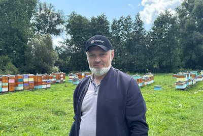 У громаді на Житомирщині загинули майже 700 бджолиних сімей — яка причина
