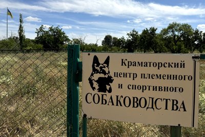 Життя без «плану Б»: як зооволонтери Краматорська рятують покинутих тварин із «гарячих» точок Донеччини Життя без «плану Б»: як зооволонтери Краматорська рятують покинутих тварин із «гарячих» точок Донеччини