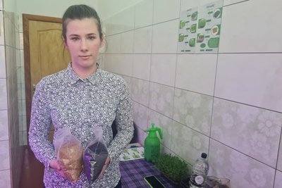 У школі на Житомирщині учні заробляють гроші, вирощуючи та продаючи мікрозелень У школі на Житомирщині учні заробляють гроші, вирощуючи та продаючи мікрозелень