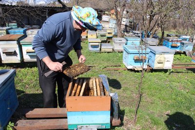 купити мед харків купити мед харків