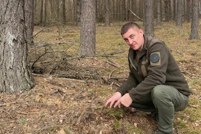 Понад 1000 вирубаних дерев виявили екологи на півночі Житомирщини Понад 1000 вирубаних дерев виявили екологи на півночі Житомирщини