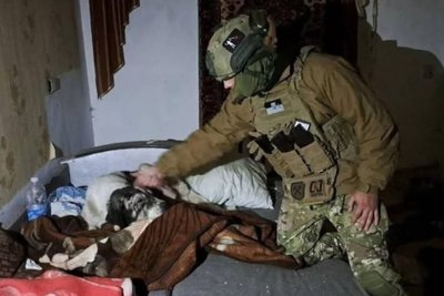 "Кінцева мета — знайти родину": в Одесі працює центр адопції собак, врятованих з війни "Кінцева мета — знайти родину": в Одесі працює центр адопції собак, врятованих з війни