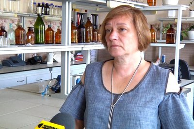 У житомирській річці Крошенка виявили понад чотири тисячі мертвих рибин: що сталося У житомирській річці Крошенка виявили понад чотири тисячі мертвих рибин: що сталося