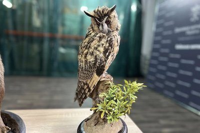 У Києві