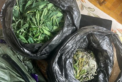 конопля в пакетах конопля в пакетах