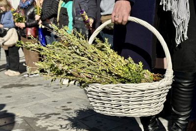 У Вербну неділю житомиряни прийшли до храмів освячувати гілочки верби