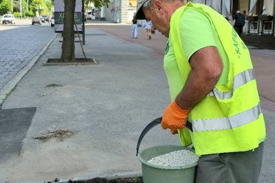 працівник "Харківзеленбуд" працівник "Харківзеленбуд"