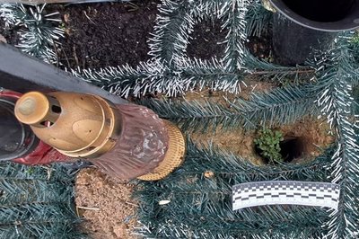 Жителю селища на Житомирщині оголосили підозру за наругу над могилами військових Жителю селища на Житомирщині оголосили підозру за наругу над могилами військових
