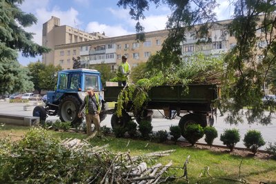 У центрі Житомира зрізали стару березу — на території поблизу у міжнародний день молоді розташують гамак-парк У центрі Житомира зрізали стару березу — на території поблизу у міжнародний день молоді розташують гамак-парк