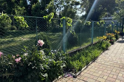 День Святої Трійці, Свято-Троїцький храм ПЦУ, Ужгород День Святої Трійці, Свято-Троїцький храм ПЦУ, Ужгород