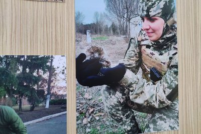 "Це наші друзі, це наші побратими". У Дніпрі відкрилася виставка світлин “Чотирилапі друзі хоробрих” "Це наші друзі, це наші побратими". У Дніпрі відкрилася виставка світлин “Чотирилапі друзі хоробрих”