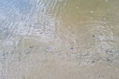 Відпочинок на пляжах Житомирщини — у яких водоймах вода не відповідає санітарним нормам Відпочинок на пляжах Житомирщини — у яких водоймах вода не відповідає санітарним нормам