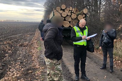 Незаконно вирубували дерева: на Вінниччині трьом чоловікам повідомили про підозру Незаконно вирубували дерева: на Вінниччині трьом чоловікам повідомили про підозру