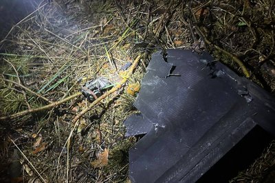 Лісництва на Житомирщині потрапили в зону ураження під час нічної атаки 9 липня по Україні Лісництва на Житомирщині потрапили в зону ураження під час нічної атаки 9 липня по Україні
