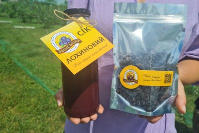 Дві тисячі кущів лохини вдома: родина фермера з Житомирщини на 50 сотках вирощує лохину різних сортів Дві тисячі кущів лохини вдома: родина фермера з Житомирщини на 50 сотках вирощує лохину різних сортів