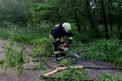 Буревій на Житомирщині: упродовж доби рятувальники прибрали понад 6 десятків повалених дерев Буревій на Житомирщині: упродовж доби рятувальники прибрали понад 6 десятків повалених дерев